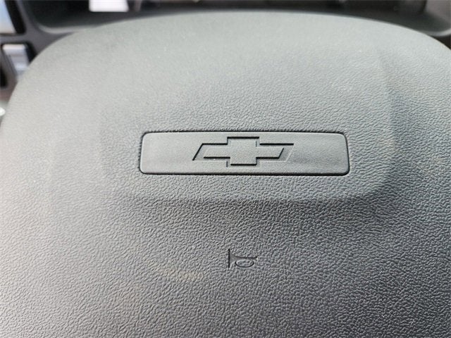 2025 Chevrolet Low Cab Forward 4500 MEDIUM ASH GRAY