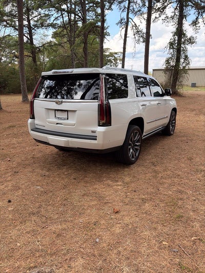 2020 Cadillac Escalade Platinum