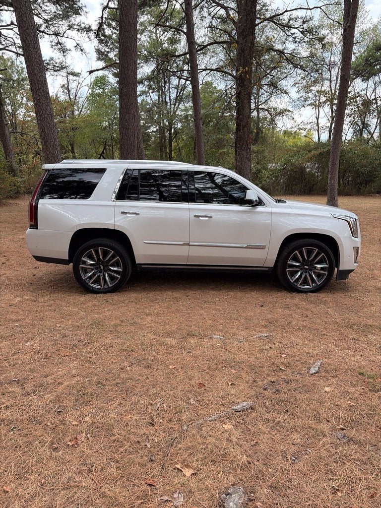 2020 Cadillac Escalade Platinum